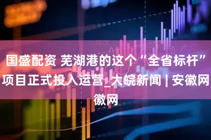 国盛配资 芜湖港的这个“全省标杆”项目正式投入运营_大皖新闻 | 安徽网